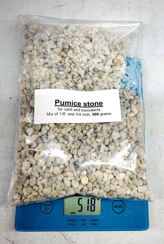 Pumice stone, 1/8- 1/4" 500 grams