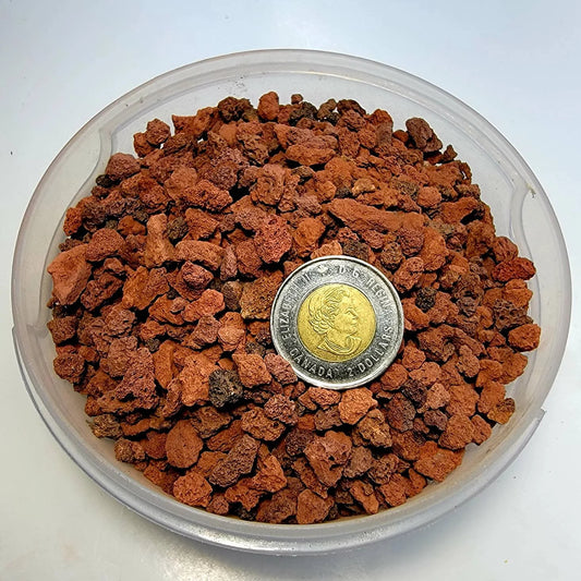 Black|Red Lava Rock (Horticulture grade) 1/2 pound (.4 liters)